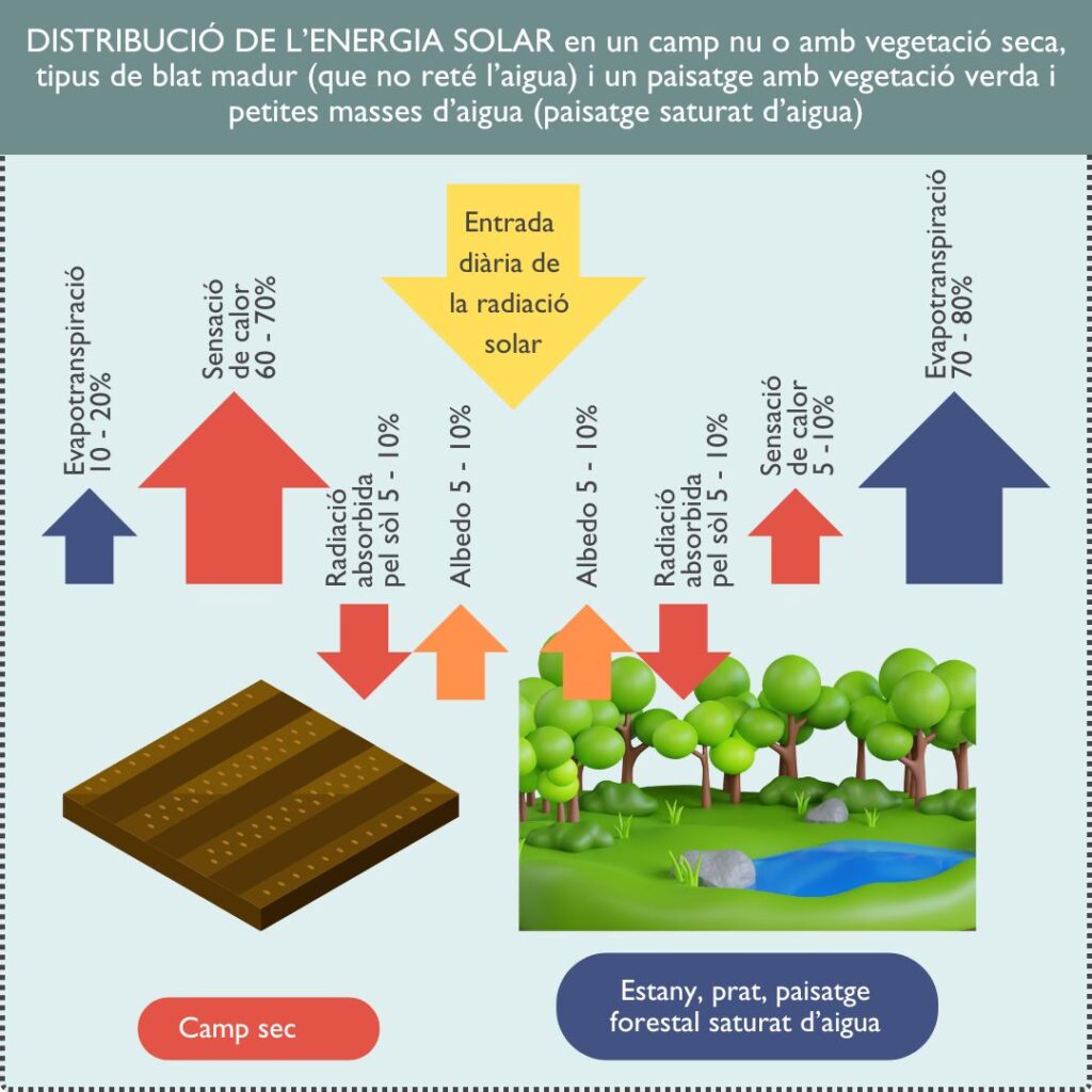 Distribució de l'energia solar en un camp nu o amb vegetació seca, tipus de blat madur (que  no reté l'aigua) i un paisatge amb vegetació verda i petites masses d'aigua (paisatge saturat d'aigua)